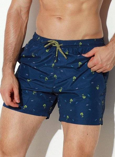 Мужские пляжные шорты с принтом в виде пальм