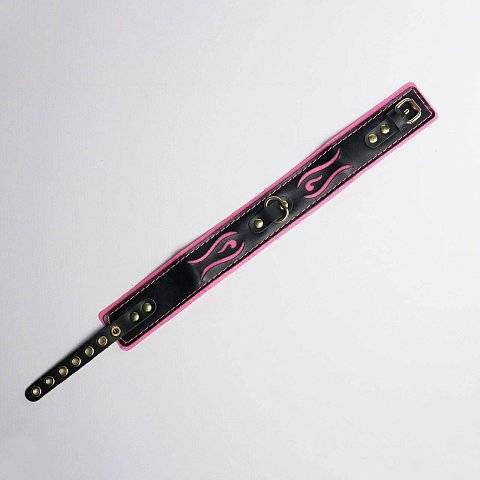 Черно-розовый ошейник с золотистой фурнитурой