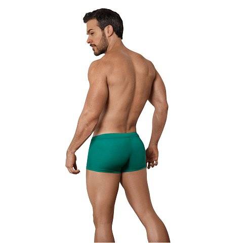 Зеленые мужские плавки-боксеры Malibu Swimsuit Trunks