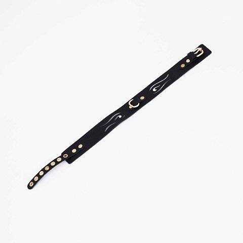 Черный кожаный ошейник с золотистой фурнитурой