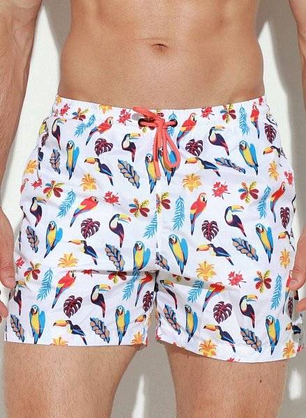 Мужские пляжные шорты с принтом в виде попугаев
