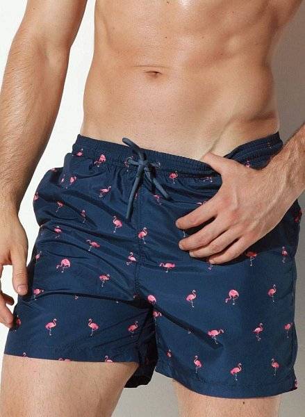 Мужские пляжные шорты с принтом в виде фламинго