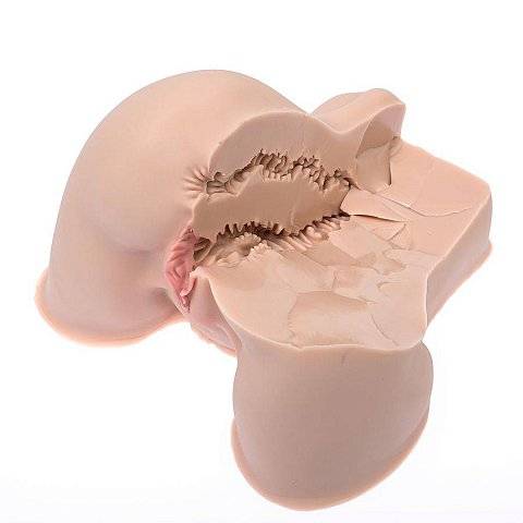 Мастурбатор-полуторс Naked Factory Kate